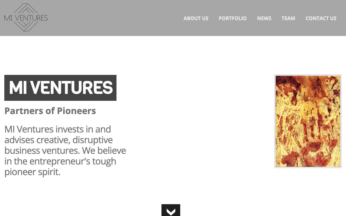 MI Ventures website preview