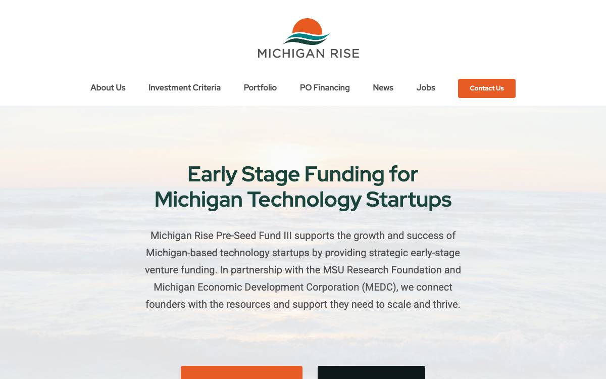 Michigan Rise website preview