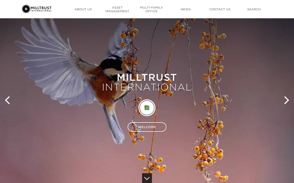 Milltrust International Group website preview