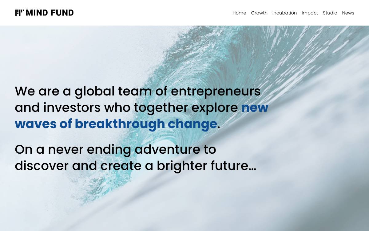 Mind Fund website preview