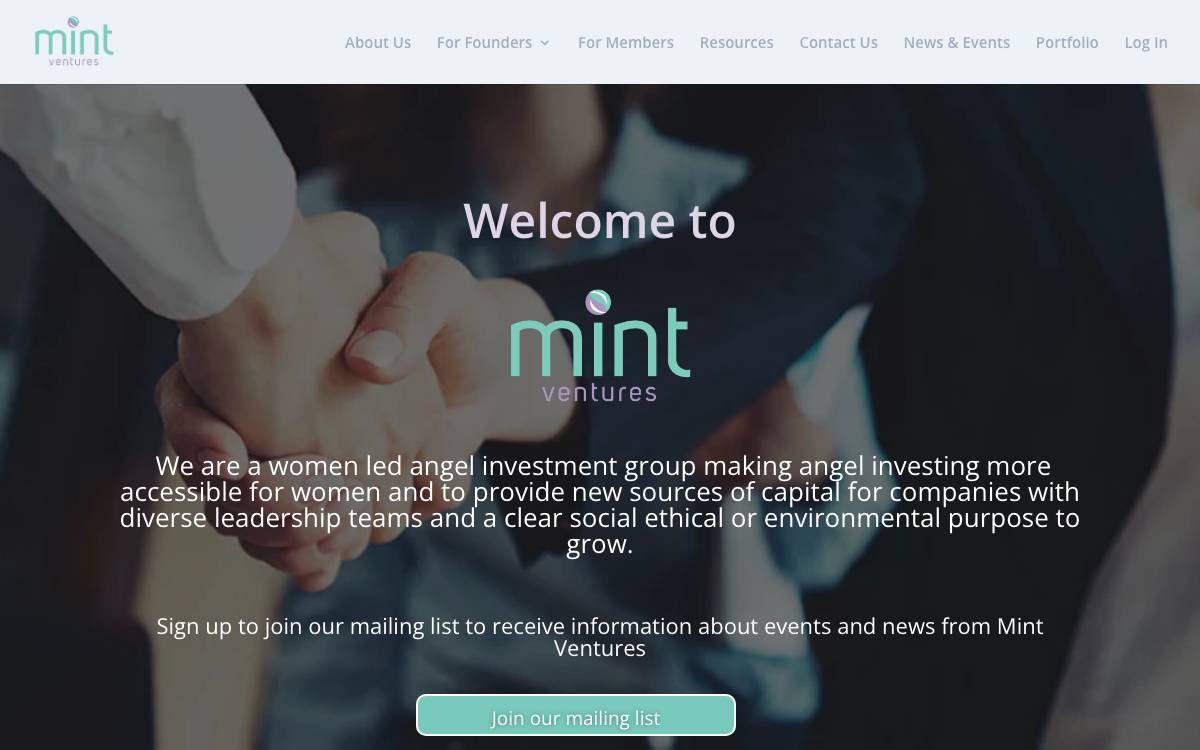 Mint Ventures website preview