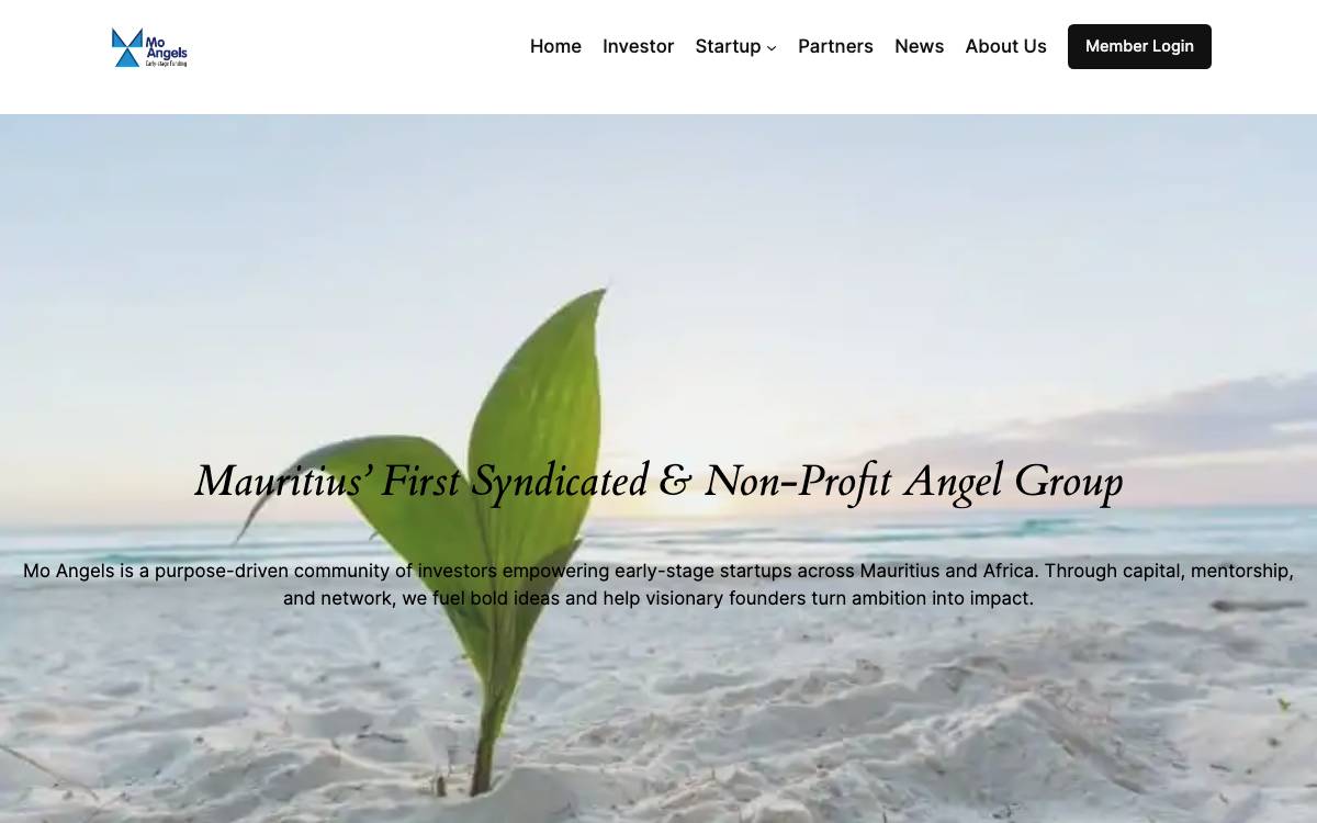 Mo Angels website preview