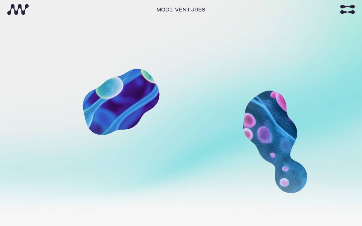 Modi Ventures website preview
