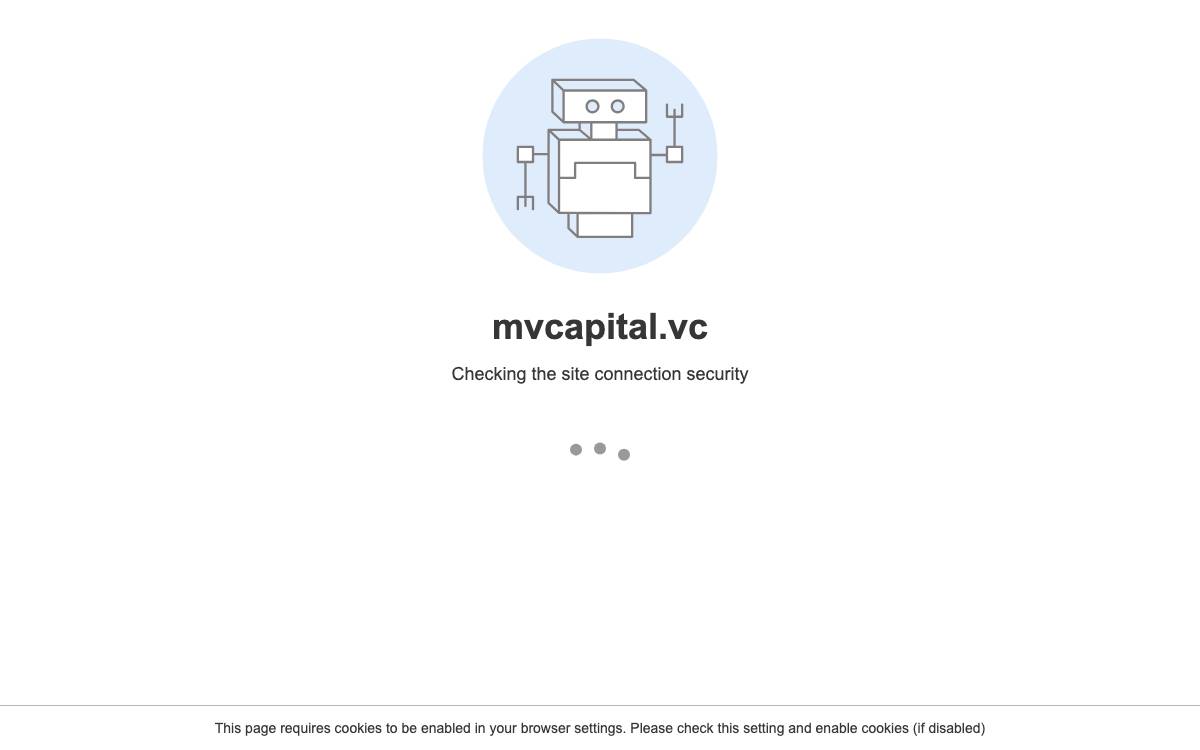 Momentum Capital website preview