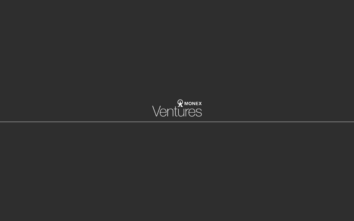 Monex Ventures website preview