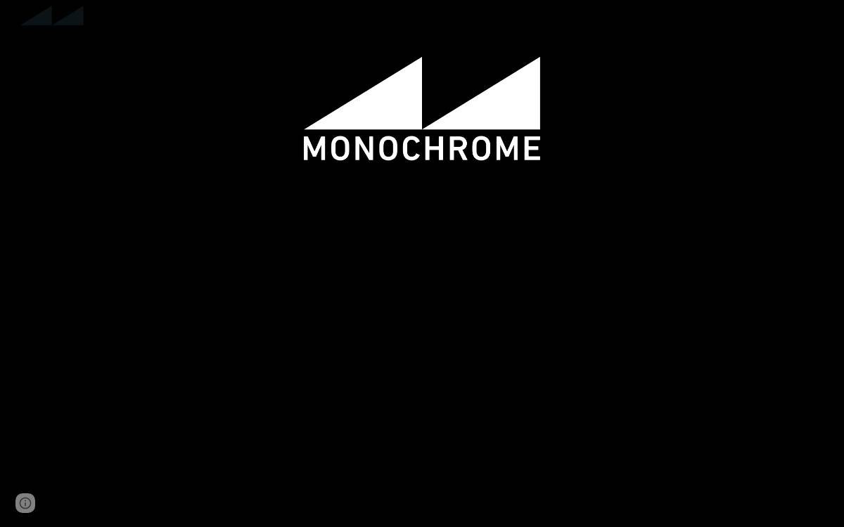 Monochrome Capital website preview