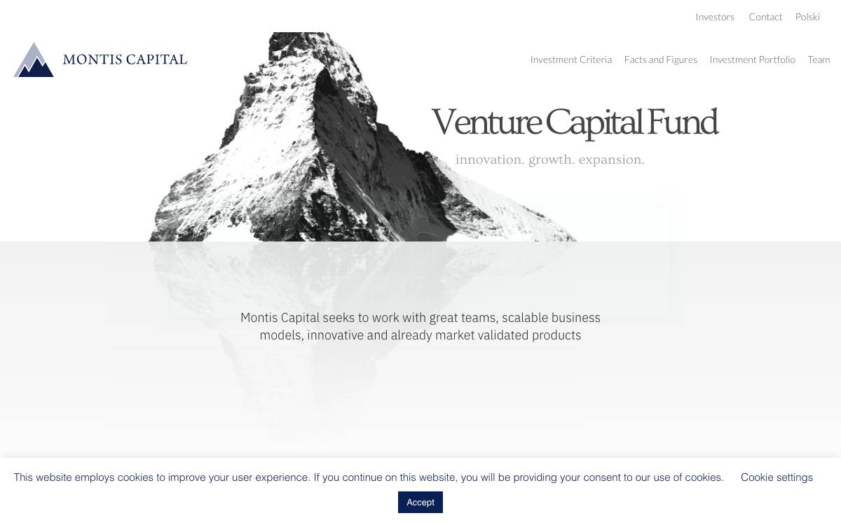 Montis Capital website preview