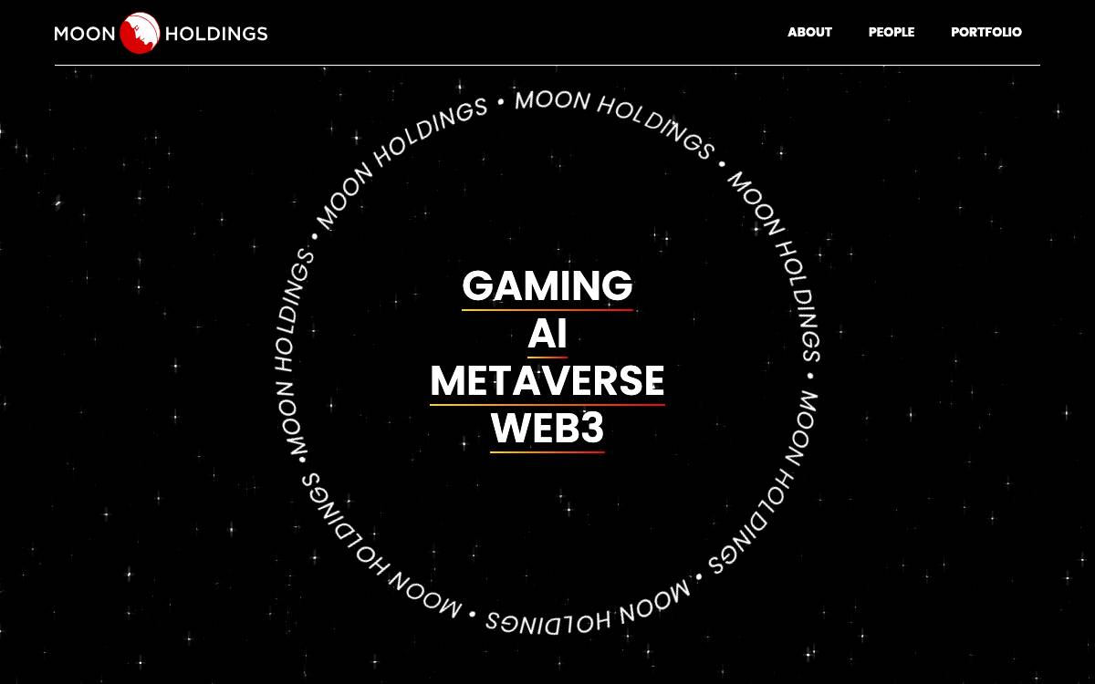 Moon Holdings website preview