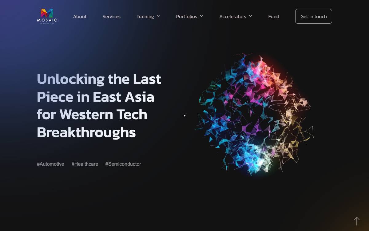 Mosaic Venture Lab website preview