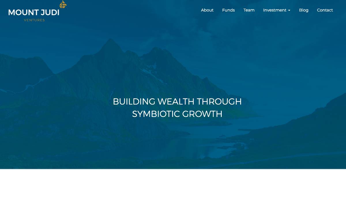 Mount Judi Ventures website preview
