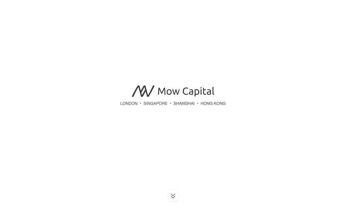 Mow Capital website preview
