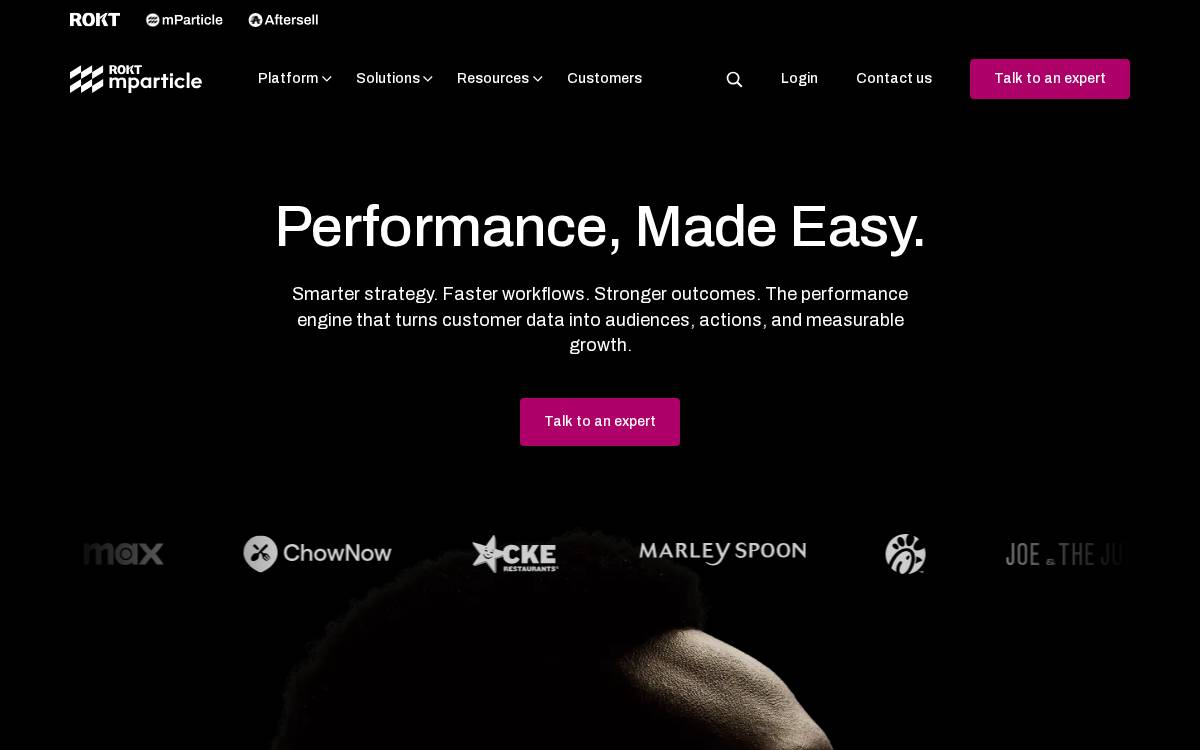 mParticle website preview