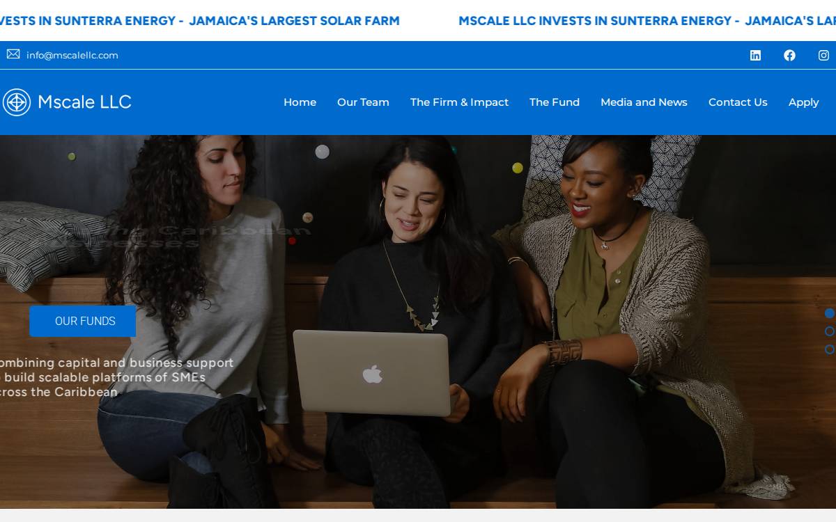 MR Scale website preview