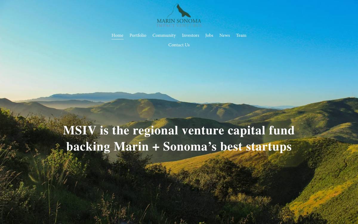 MSIV website preview