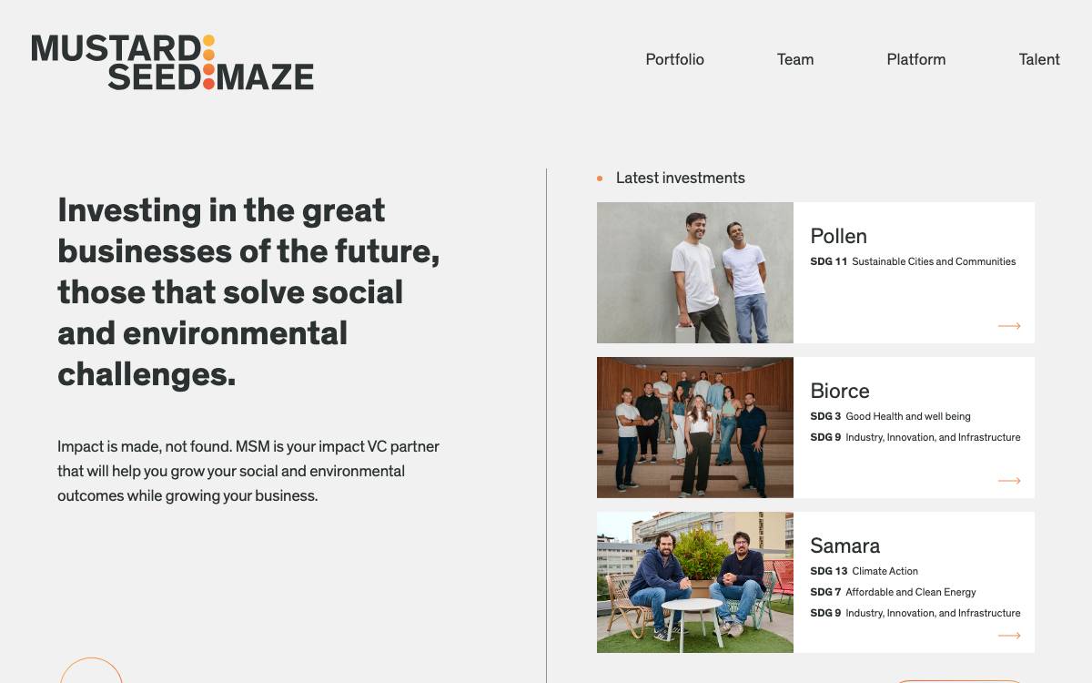 MSM website preview