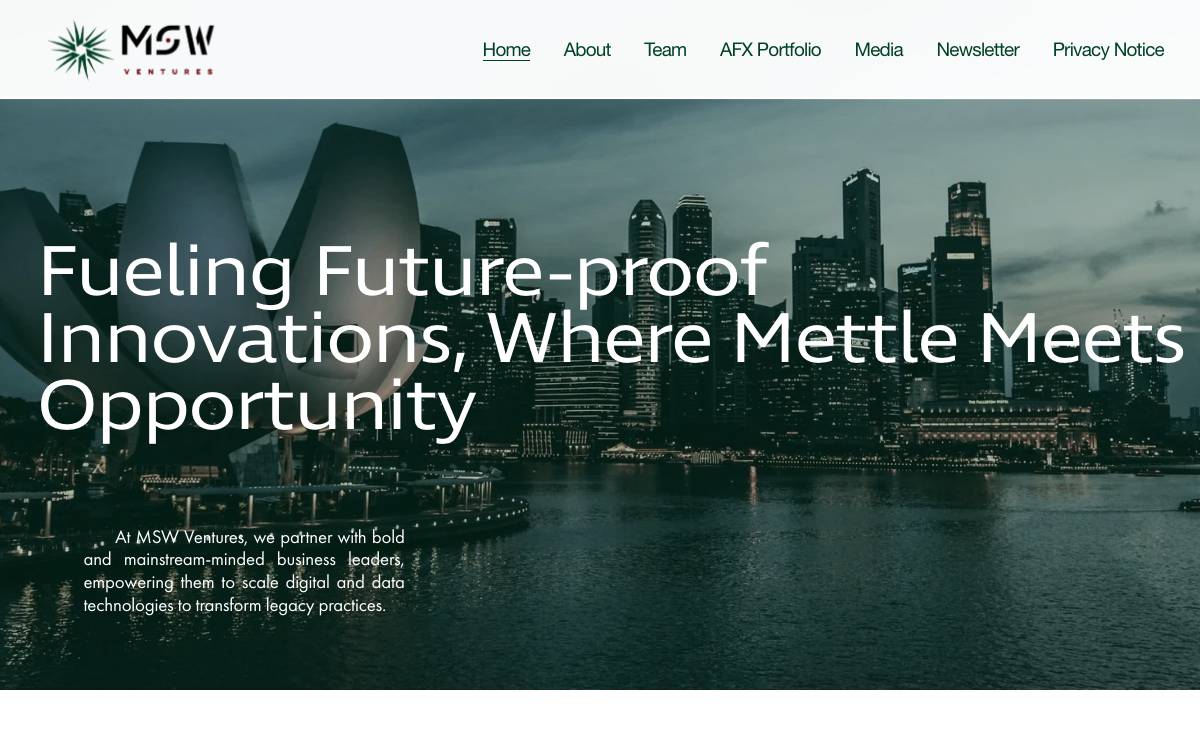 MSW Ventures website preview