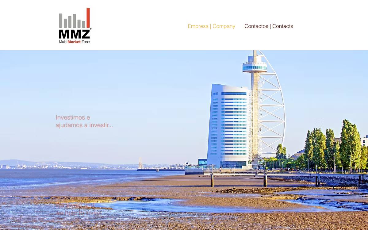Multi Market Zone website preview