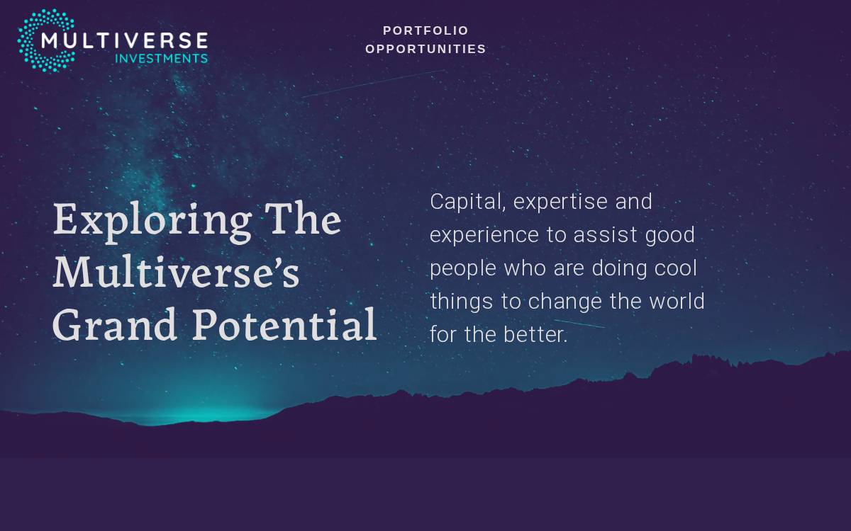 Multiverse Investment website preview