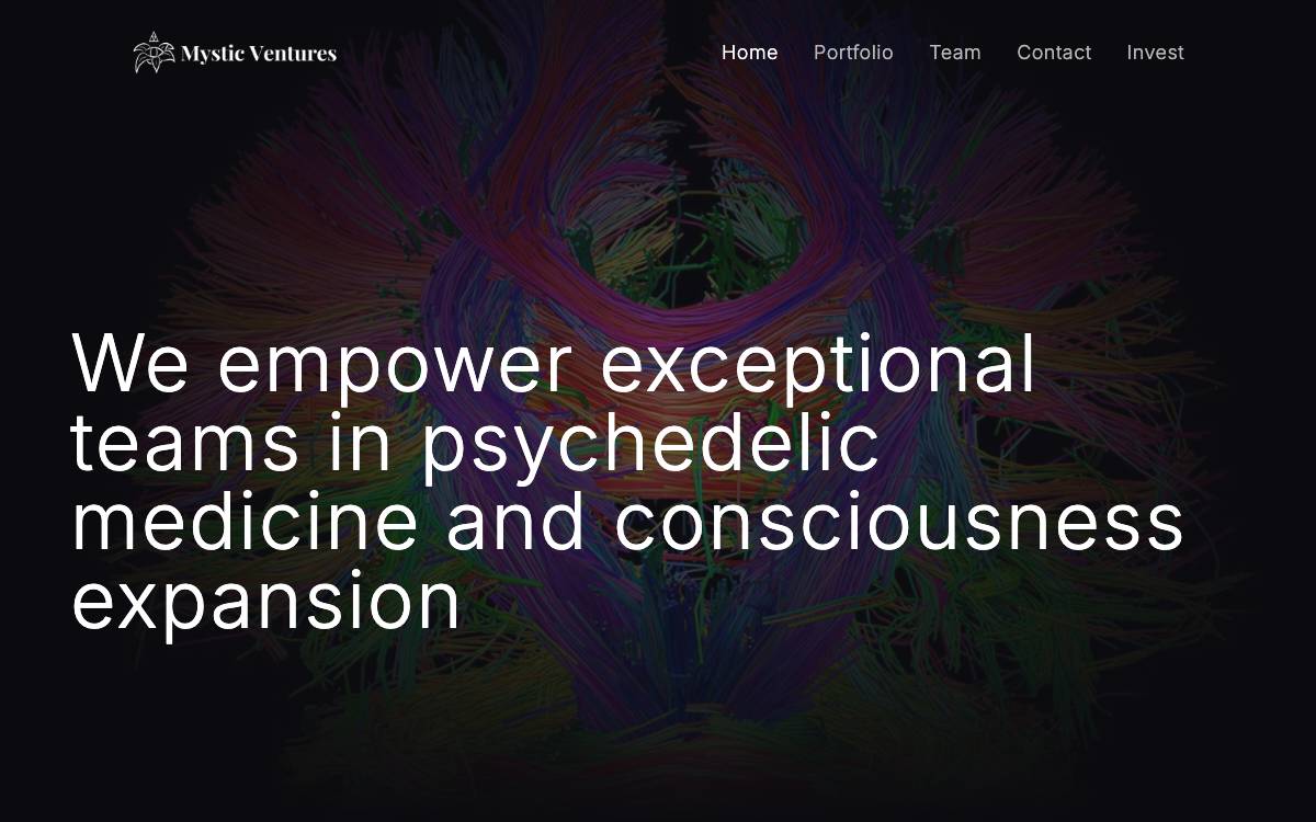 Mystic Ventures website preview