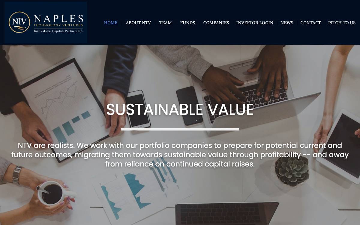 Naples Technology Ventures website preview