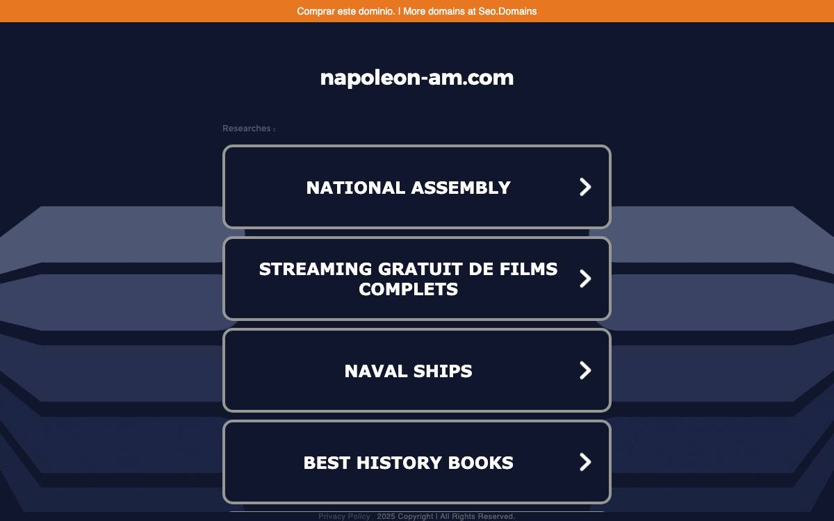 Napoleon Asset Management website preview