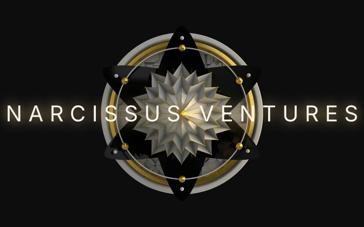 Narcissus Ventures website preview