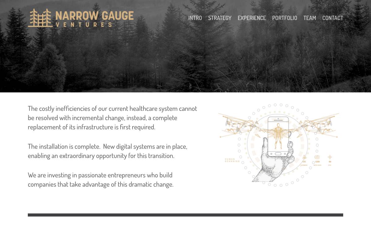 Narrow Gauge Ventures website preview