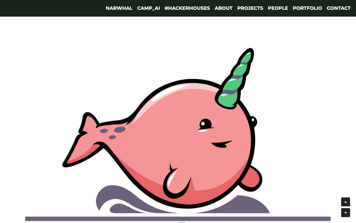 Narwhal Ventures website preview