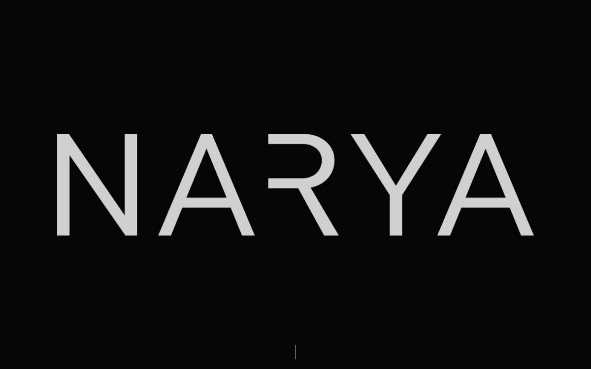 Narya Capital website preview