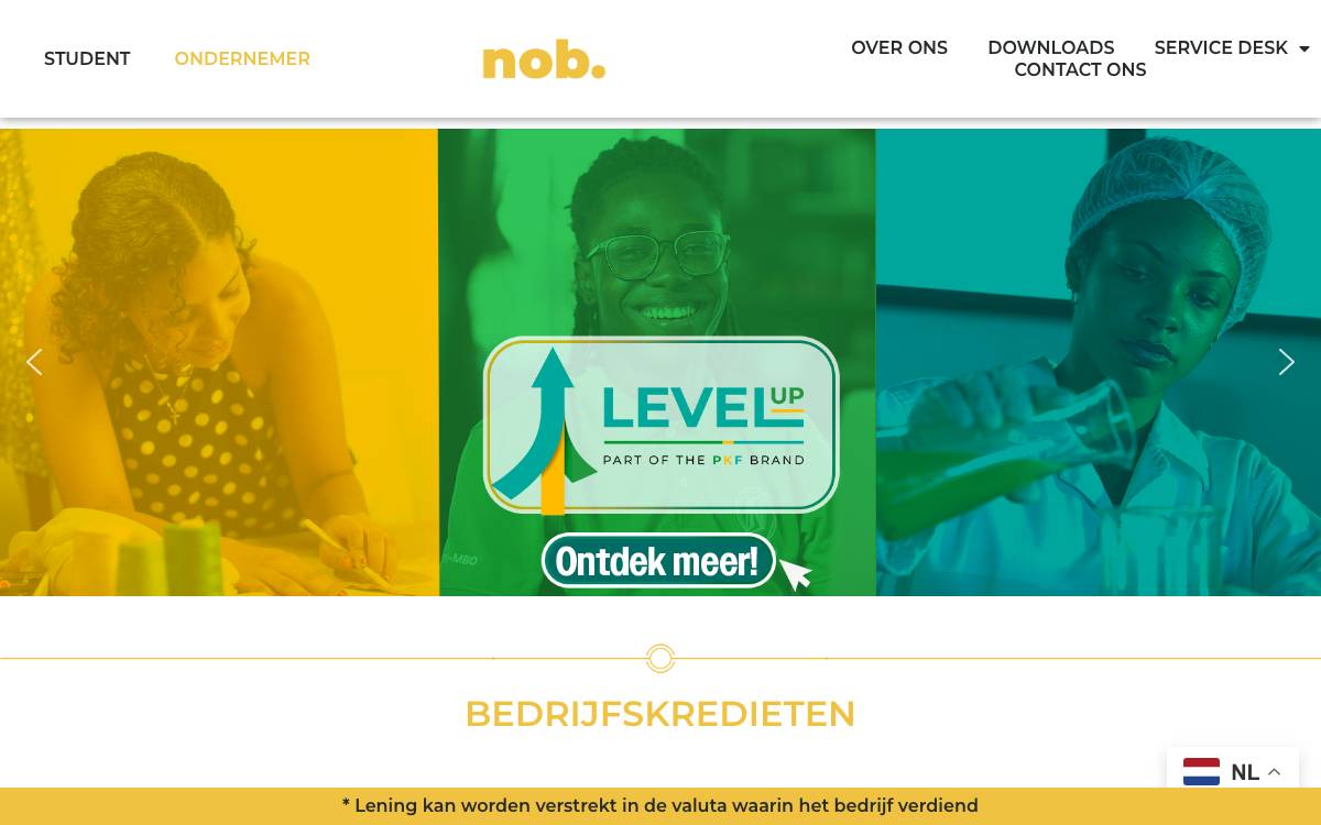 National Development Bank of Suriname (NOB) website preview