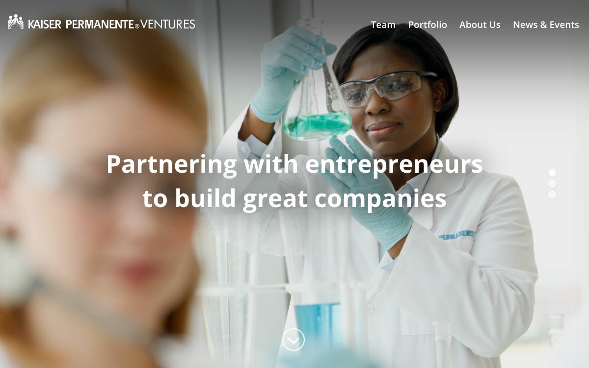 National Venture Development website preview