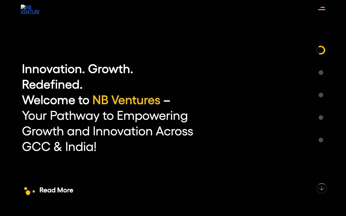 NB Ventures website preview