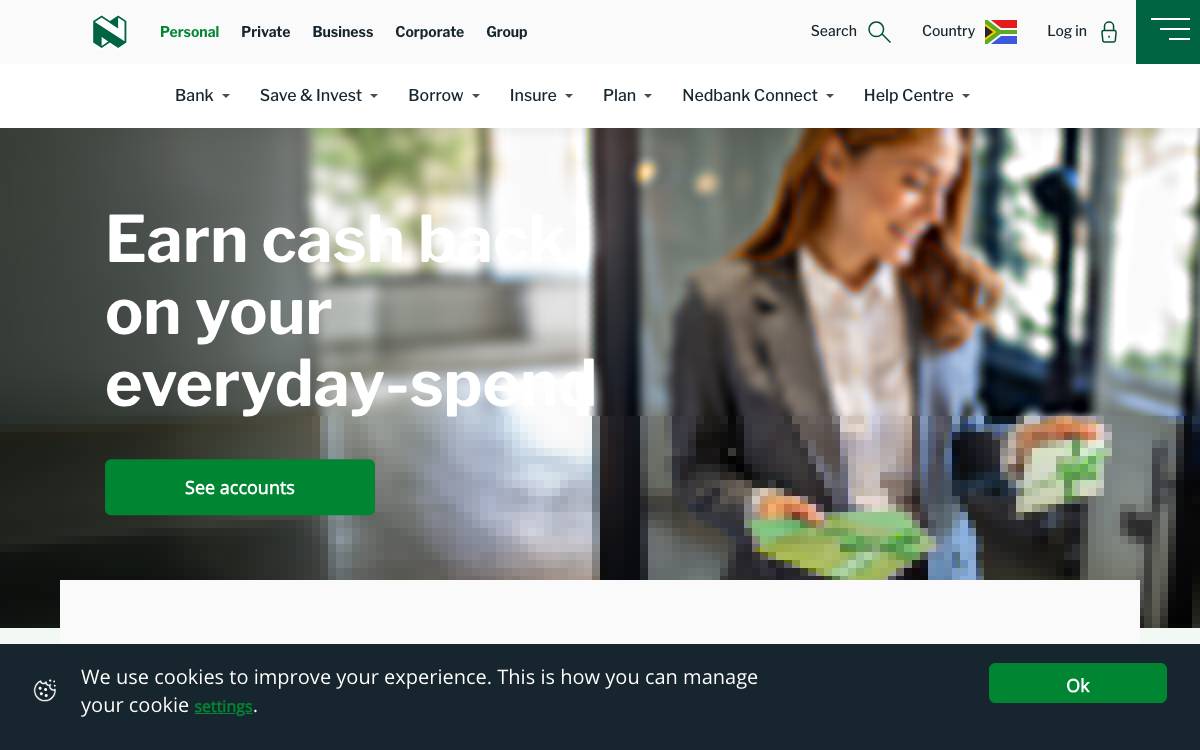 Nedbank website preview