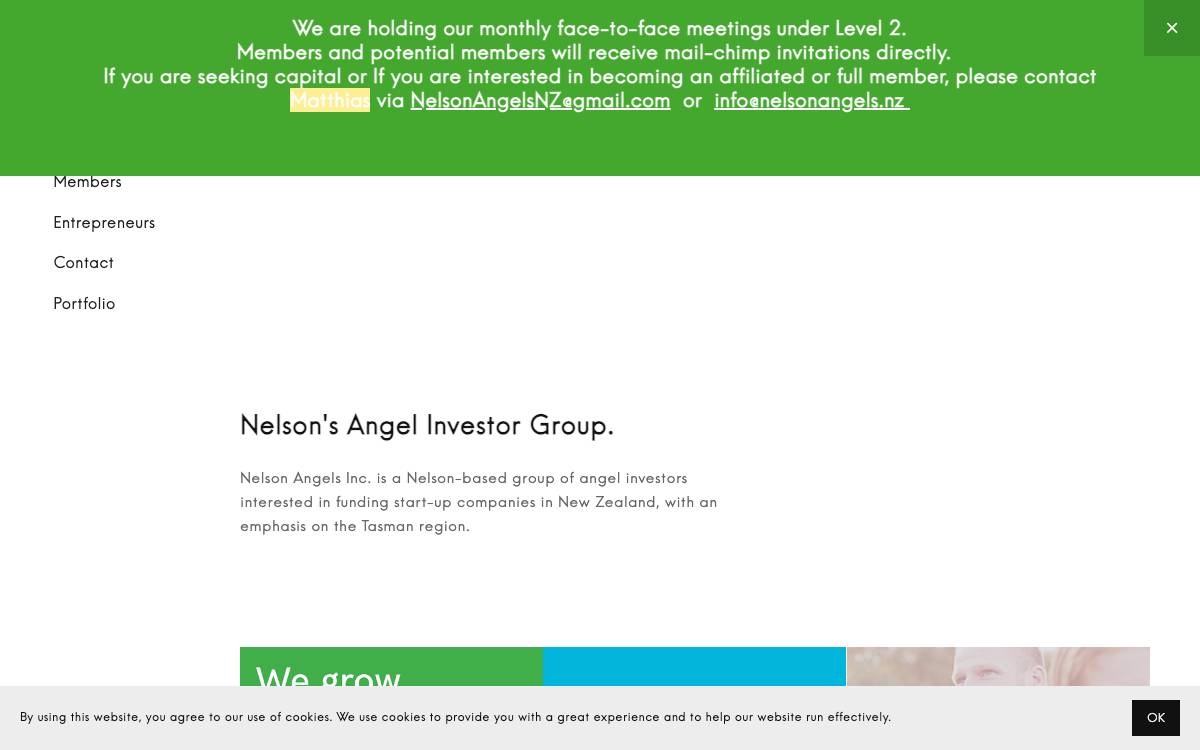 Nelson Angels website preview