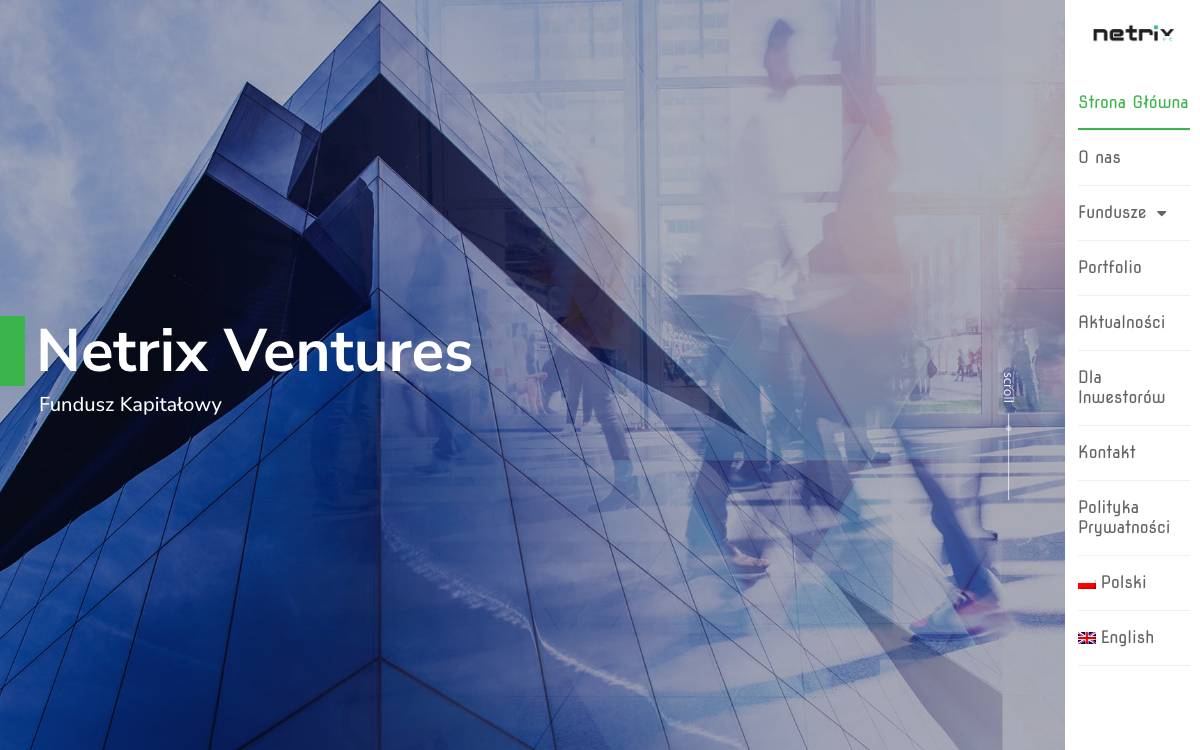Netrix Ventures website preview