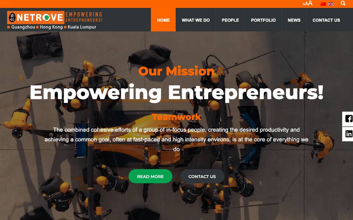 Netrove website preview