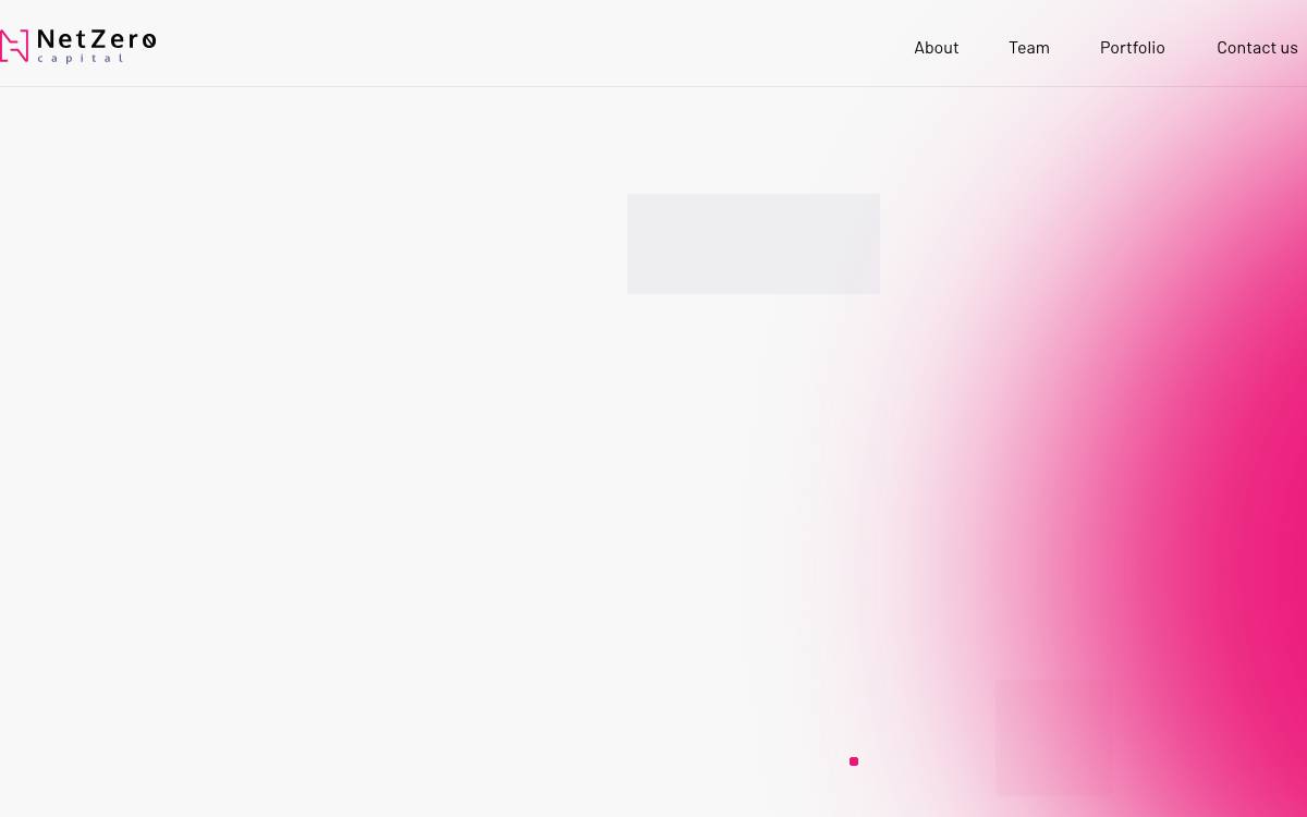 NetZero Capital website preview