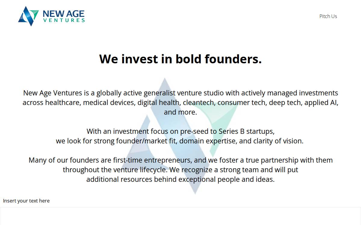 New Age Ventures website preview