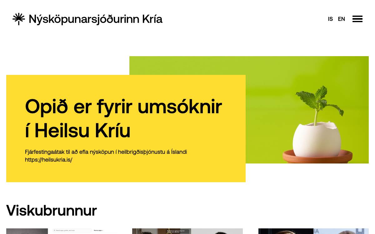 New Business Venture Fund website preview