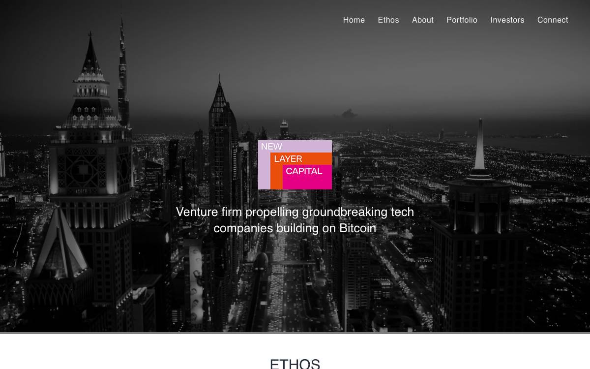 New Layer Capital website preview