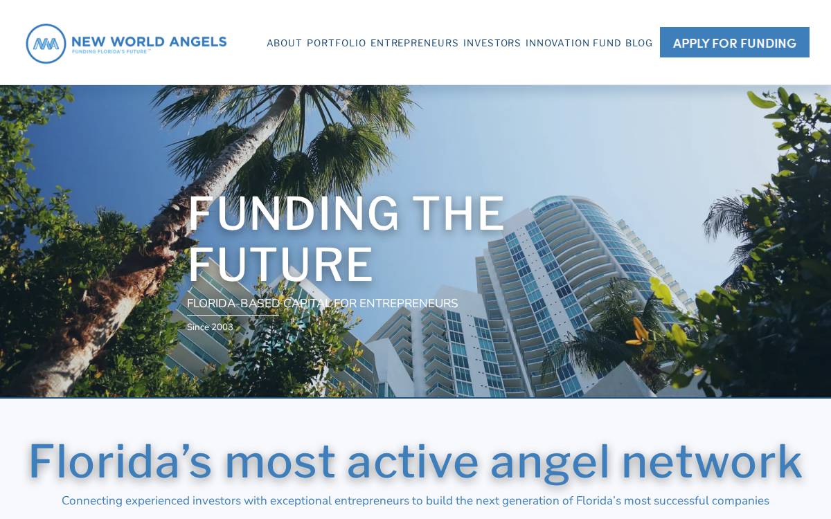 New World Angels website preview