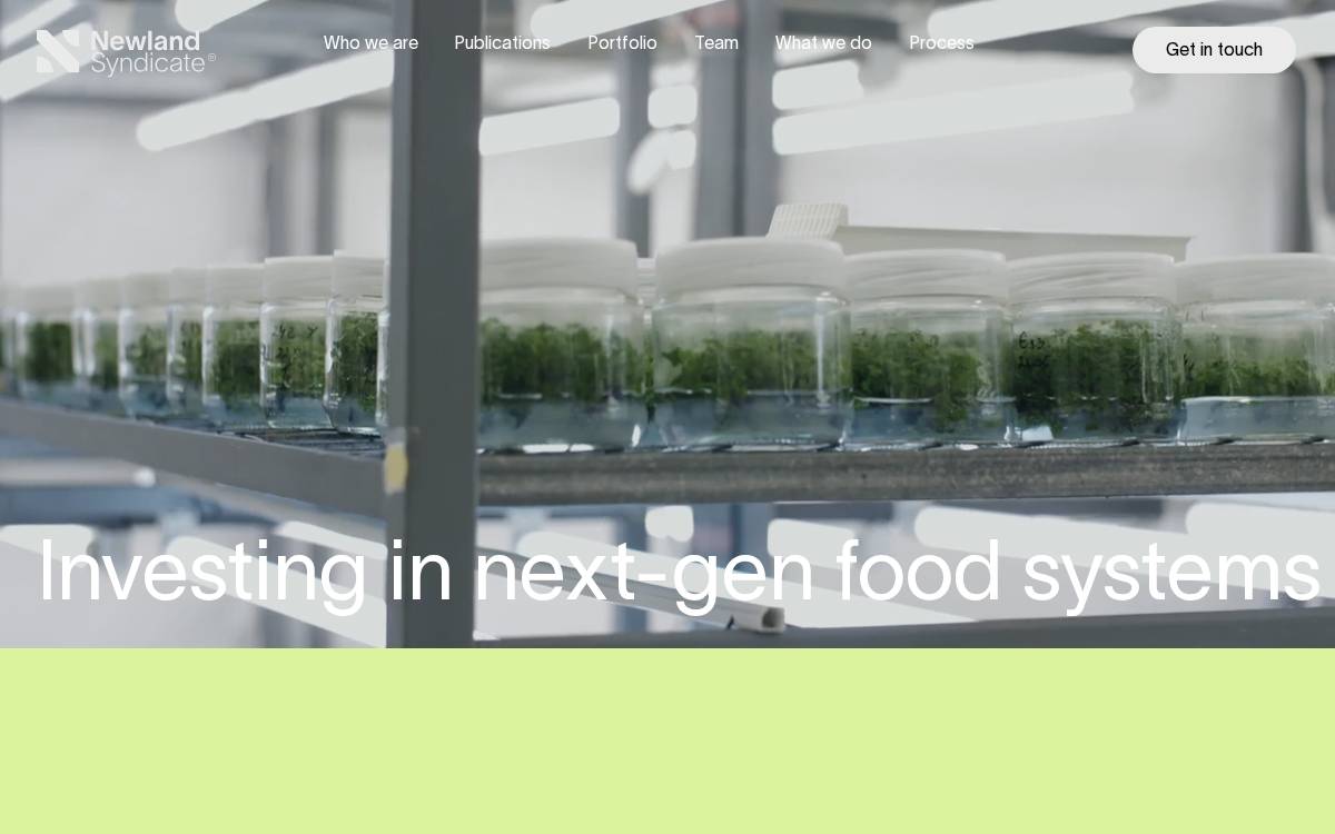 Newland Syndicate website preview