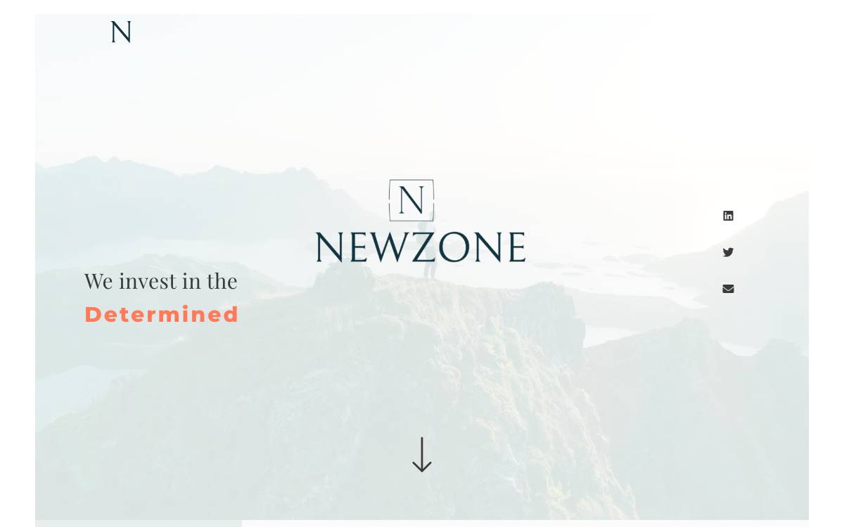 Newzone Ventures website preview