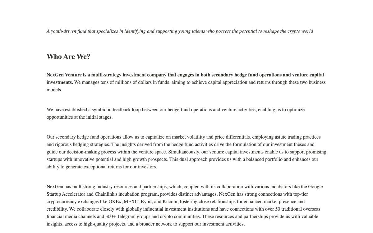 NexGenVenture website preview