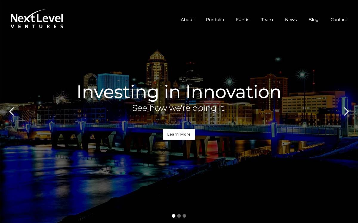 Next Level Ventures website preview