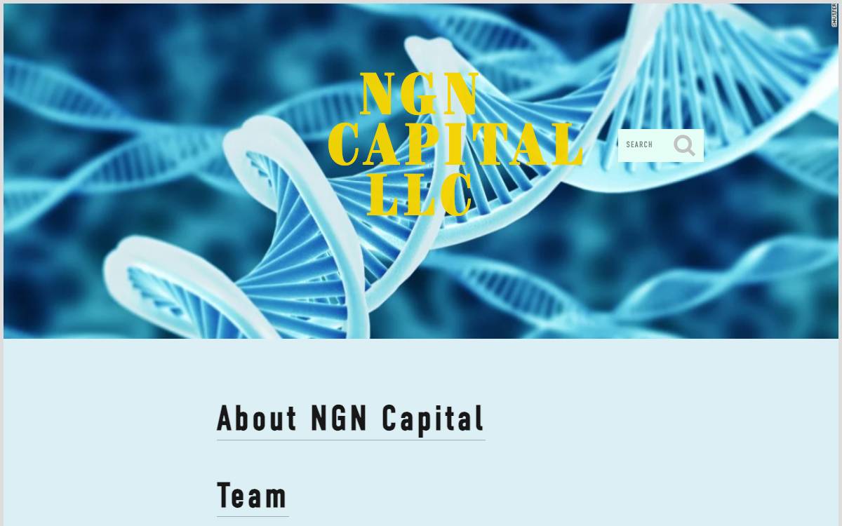 NGN Capital website preview