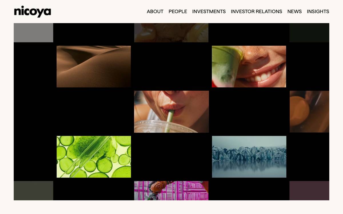 Nicoya website preview