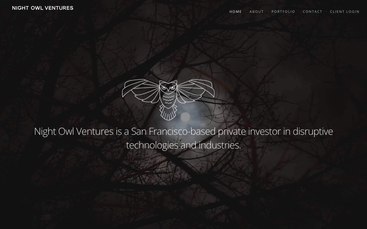 Night Owl Ventures website preview