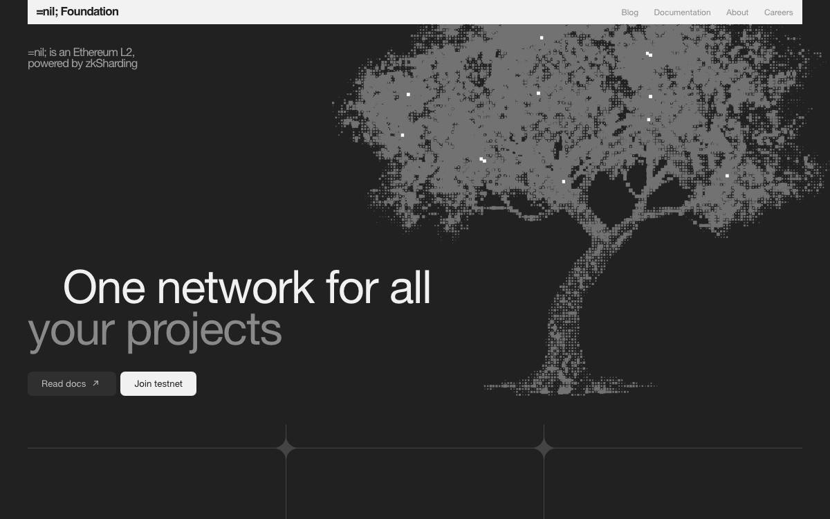 Nil Foundation website preview