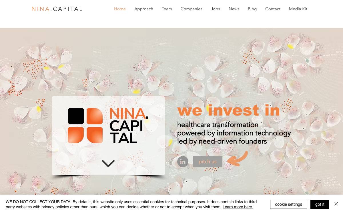 Nina Capital website preview